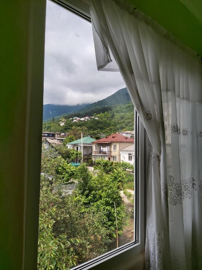 Na Shapsug Guest House 가그라 외부 사진