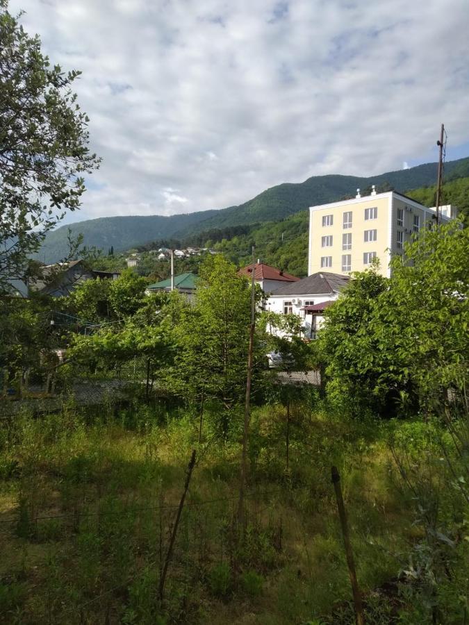 Na Shapsug Guest House 가그라 외부 사진