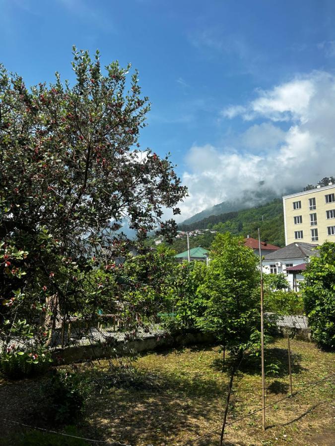 Na Shapsug Guest House 가그라 외부 사진